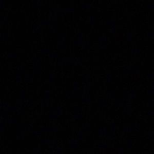 Meet your Posher, Ansaar